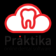 Praktika