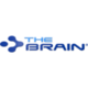 Brain EKP