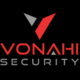 vPenTest