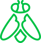 Greenfly