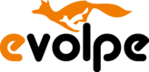 eVolpe Consulting Group