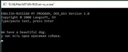 Langsoft Machine Translation