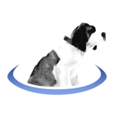 BerniePortal
