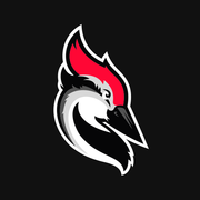Woodpecker.co