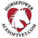 ACESoft Business Manager