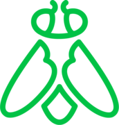Greenfly
