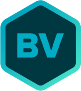 BriteVerify