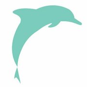 Dolphin Dynamics