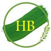 HB Associates
