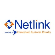 Netlink Software Group
