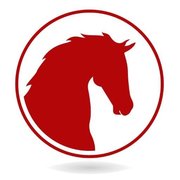 RedHorse Systems
